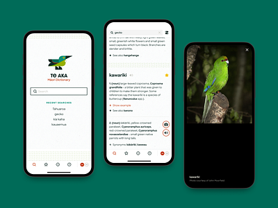 Te Aka - Māori Dictionary app animation app bird branding illustration logo mobile new zealand responsive ui ux web