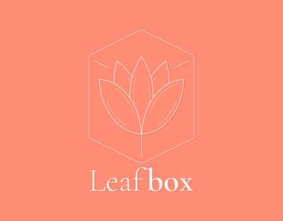 LeafBox Logo branding design graphic design logo