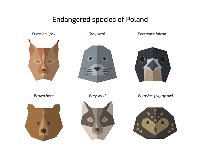 Endangered species icon set animal bear hawk icon set illustration lynx owl seal vector wolf