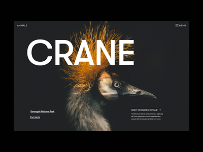 Crane branding design header minimal typography ui ux web