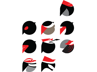 Birds