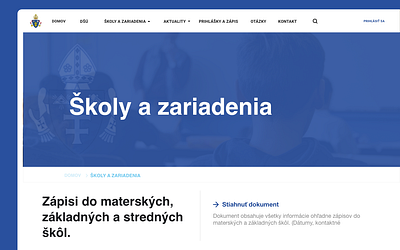 DSU Website branding ui ui design ux ux design web web design webdesign website website banner