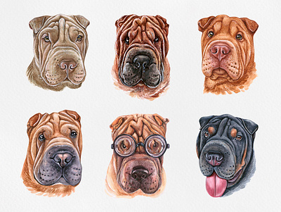 Watercolor Shar Pei animal cute dog drawing funny illustration pet puppy watercolor watercolor art