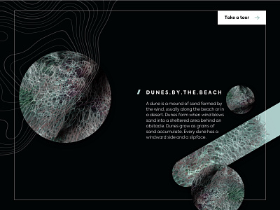 Dunes landing page frame #1 3d bio blue blues composition concept dark grass landing nature ocean shapes ui