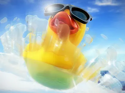 Duck 3D ilustration 3d art illustration web