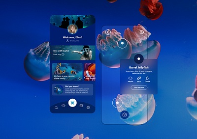 AR Aquarium app branding concept dailyui design designconcept ui website