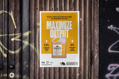 Mammoth Poster agriculture cannabis design layout marketing poster poster design