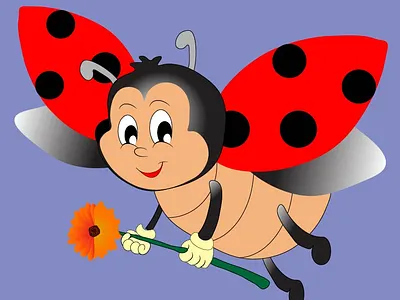 Ladybug design illustration ladybug