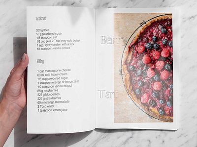 Berries Tart book branding illustrator photoshop typo typography typography art