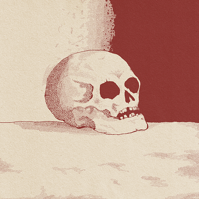 Just a lil Skull. brush design hardcore illustration photoshop skull skulls texture true grit texture supply