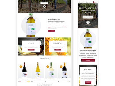 Wine website design ecommerce ui ux web web design web development website