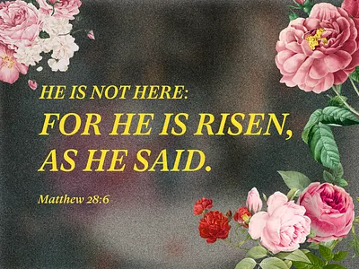 He is Risen design easter floral illustration verse
