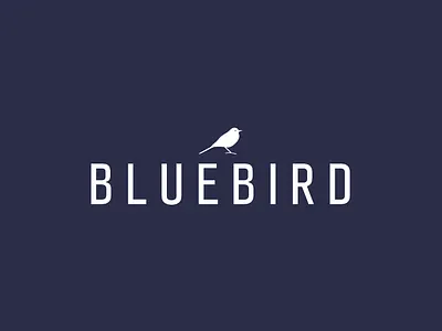 BlueBird - Concept Logo branding concept design fun idea illustration logo