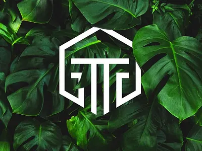 5823930355012657334 o brand identity custom logo logodesign minimalist logo