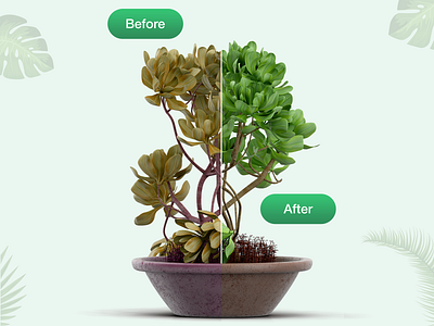 Plant Identification app branding design graphic design i hope you enjoy it❤️ identification logo plant plantidentification plantidentify ui