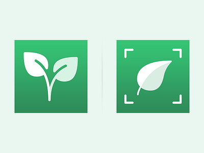 Plant Logo app branding design graphic design logo plant plantidetification plantidetify plantlogo ui