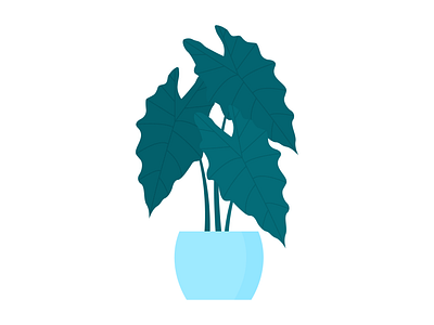 Day 201 - 366 Days of Illustration Challenge - MintSwift alocasia alocasia amazonica digital illustration elephant ear flat design flat illustration flatdesign house plant illustration illustrations illustrator mintswift plant plant illustration plants pot tropical urban jungle vector vector illustration