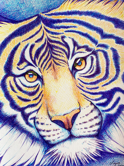 Colorful tiger animal art animal illustration big cat colorful crosshatching detail drawing eyes illustration markers pen drawing tiger