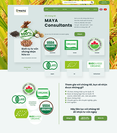 The header page for MAYA Consultant Viet Nam adobe xd design minimalism ui ui design ux ui design