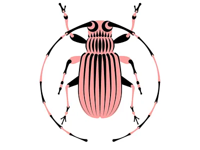 Bugs everywhere acid animal barcelona bug bugs color diatomic studio editorial editorial illustration flat illustration insect logo nature optical art psychedelic