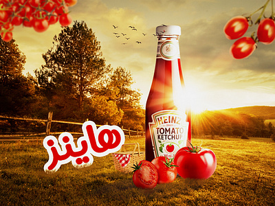Heinz ketchup advertising composite graphic design photo manipulation photomanipulation photoshop social media