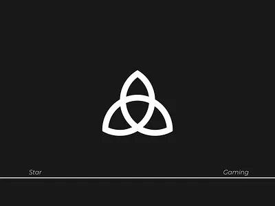 Star Logo brand identity branding design logo logodesign type typography vector visual identity
