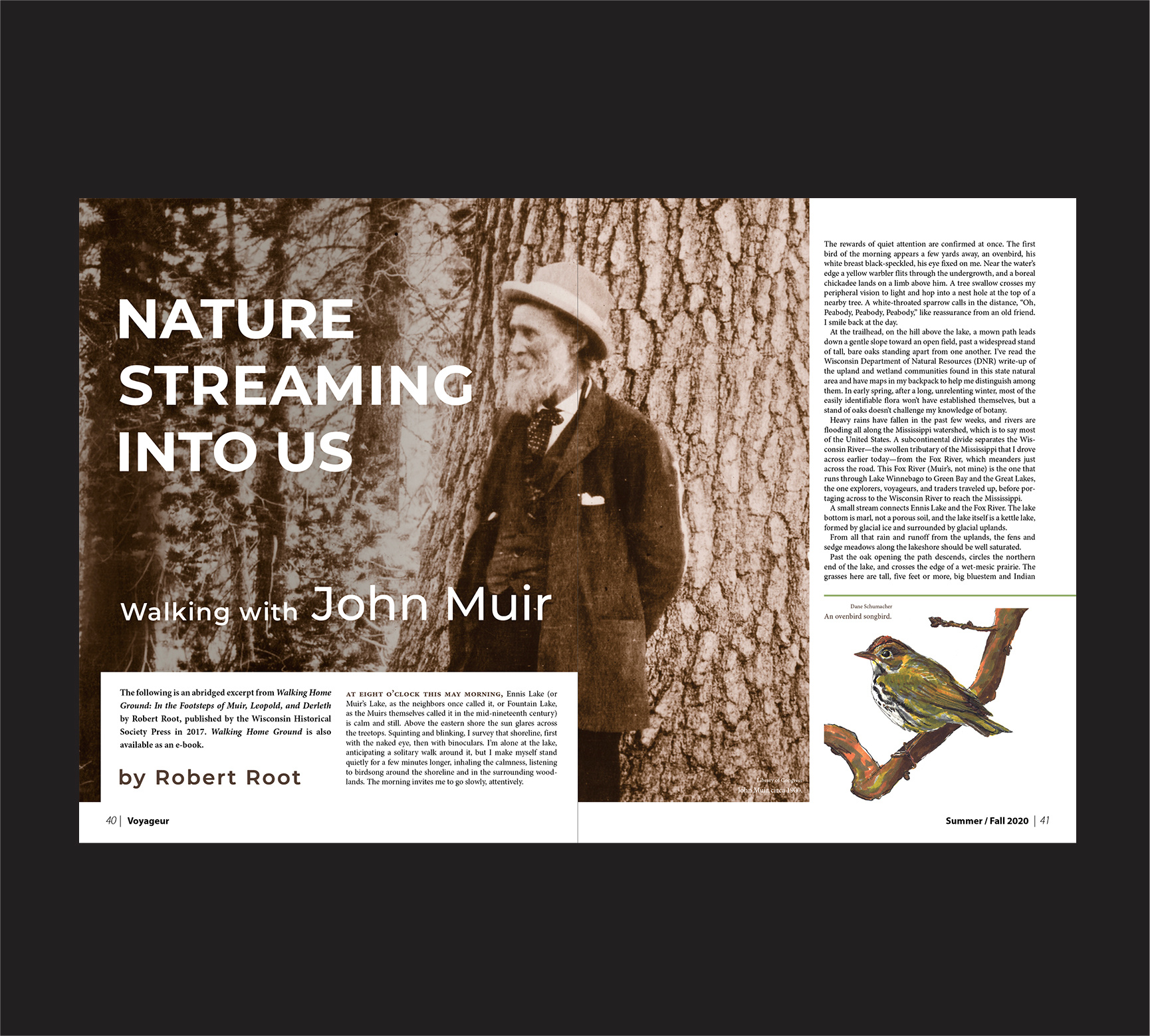 Example of Voyageur Nature Streaming-Walking with John Muir Article Spreads