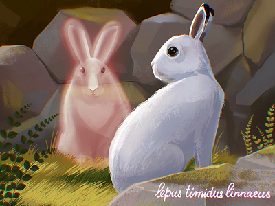 Red Book Animals: White Hare animals art design design studio digital art digital illustration digital painting environment fauna graphic design hare illustration illustration art illustrator nature rabbit red book ukraine white hare wildlife