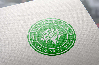 Cromatix work Logo APPFB brand branding chisinau cromatix cromatix creative image lab cromatixlab design identity moldova typography