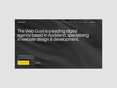 The Web Guys (Auckland) agency animation auckland consulting development interaction new zealand typography ui web website