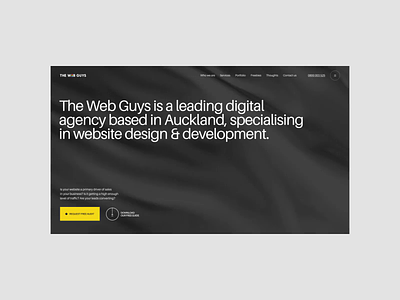The Web Guys (Auckland) agency animation auckland consulting development interaction new zealand typography ui web website