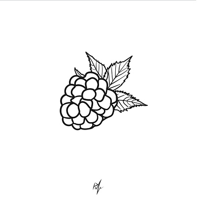 blackberry, made in vector and isolated, black line background berries branch engraved fresh healthy huckleberry jam leaf meal monochrome object pattern raw ripe season summer symbol vitamin wild