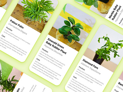 House Plant UI Cards plants ui ui cards user interface ux