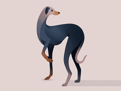 Greyhound animal art animal portrait animals cartoon character dog doggo dogs drawing flat gradient greyhound palette pastel portrait procreate procreate brushes