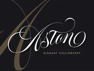 Aston Script Pro art artist artwork branding calligraphy design designer font graphicdesign graphicdesigner handlettering illustration illustrator lettering logo type typedesign typography typographydesign typographyinspired