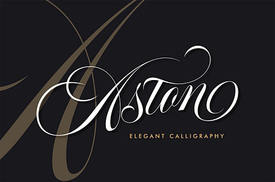 Aston Script Pro art artist artwork branding calligraphy design designer font graphicdesign graphicdesigner handlettering illustration illustrator lettering logo type typedesign typography typographydesign typographyinspired