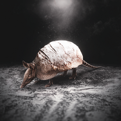 panarmadillo adobe photoshop concept art design digital art fantasy art graphic design photocomposition photomanipulation surreal art surrealism