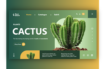 Cactus - A desert plant animation branding cactus desert design illustration indoor plant logo type typography ui ux vector webdesign website