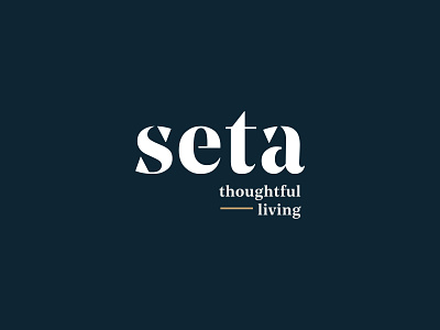 Seta Branding branding design logo type typography