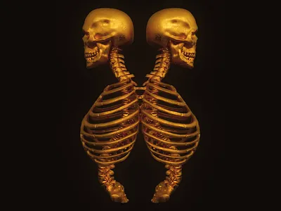 Golden twins 3d 3dsmax art bones concept death gold head metal realistic 3d render skull twins