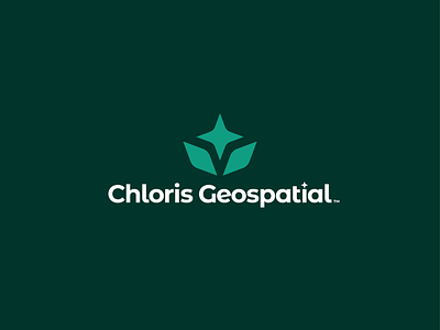 Chloris Geospatial Logo branding carbon environmental flower leaf logo minimal modern star tech