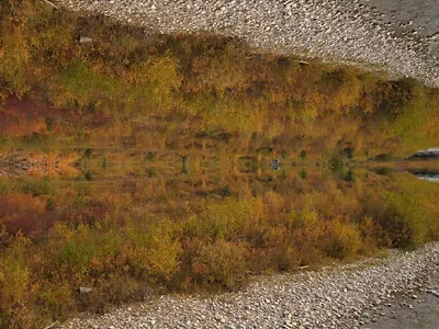 Fall Season - Digital Wilderness design digital art digitalart dji drone kaleidoscope landscape loop mirror movie nature surreal surrealism travel tree video visual design