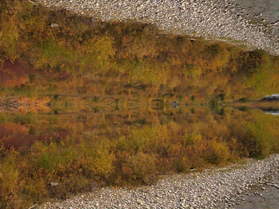 Fall Season - Digital Wilderness design digital art digitalart dji drone kaleidoscope landscape loop mirror movie nature surreal surrealism travel tree video visual design