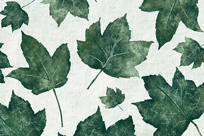 Maple Leaf Pattern artwork botanical digitial drawing green illustration leaflet design leaves leaves logo maple maple leaf mapletree patterndesign seasons summer tree