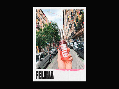 Brand identity // Felina Drink // 04 beverage brand brand identity branding drink editorial graphic design graphicdesign grid logo logodesign logotype typography typography poster visual design visual designs