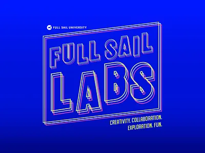 Labs shirt full sail