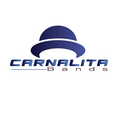 Carnalita bands design icon illustration illustrator logo logo design vector