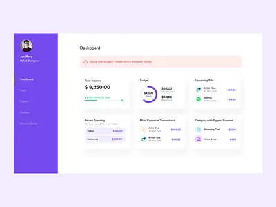 Budgetting Web App budgeting dashboard finance money ui ux
