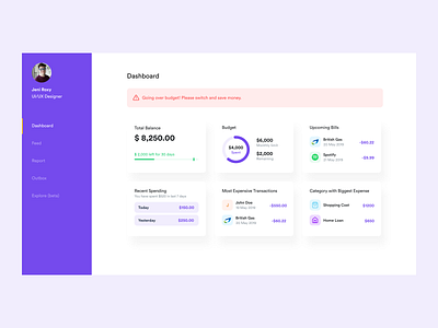 Budgetting Web App budgeting dashboard finance money ui ux