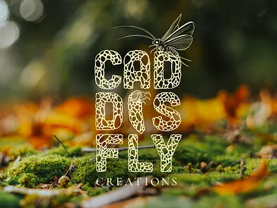 Caddisfly Creations bugs caddisfly design identity identity branding illustration insect logo
